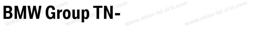 BMW Group TN字体转换